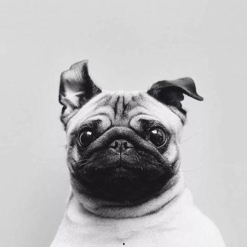 巴哥新爆料明哥视频大全,揭秘明哥视频大全背后的惊人真相  第2张